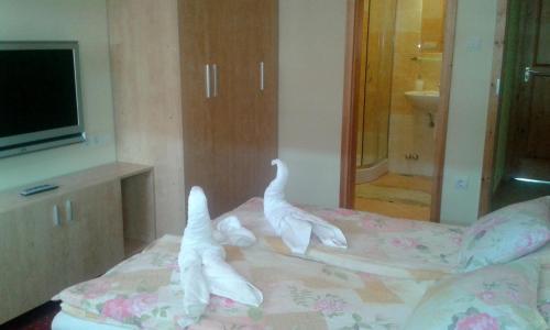 Hostal P�lma Apartmanh�z Hark�ny
