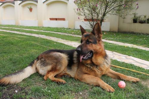Hostal Villa Harkany