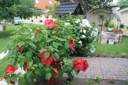 Hostal Villa Harkany