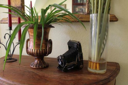 Hostal Villa Harkany