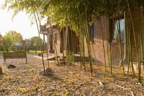 Hostal Owlcastle-bagolyv�r
