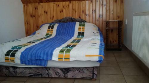 Di�na Vend�gh�z
