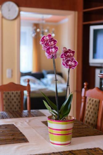M&m Luxus Apartman