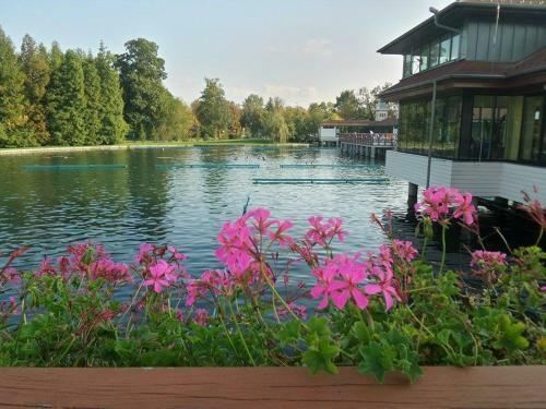 Arany Csillag Apartman