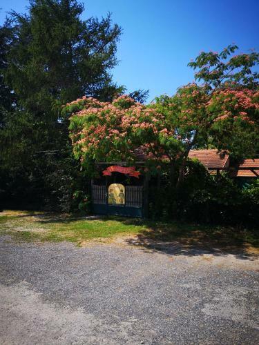 Arlekin Apartman
