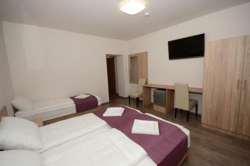Bed & Breakfast H�v�zi T�park Panzi�