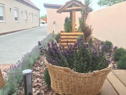 Hostal Levendula Vend�gh�z