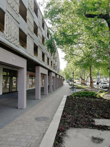 Csipke Apartman