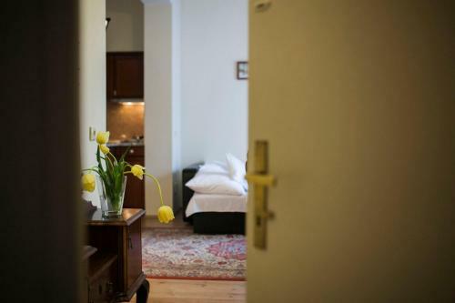 Ludo Apartman Hotel & Spa