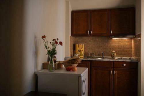 Ludo Apartman Hotel & Spa