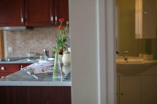 Ludo Apartman Hotel & Spa