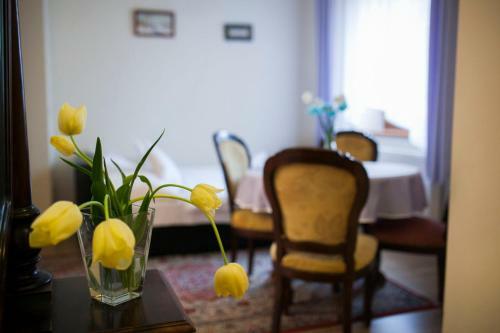 Ludo Apartman Hotel & Spa