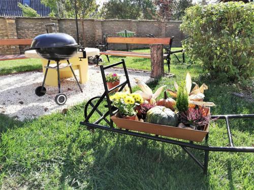Bed & Breakfast O�zis Panzi�