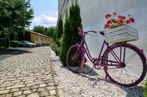 Bed & Breakfast O�zis Panzi�