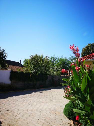 R�day Apartman