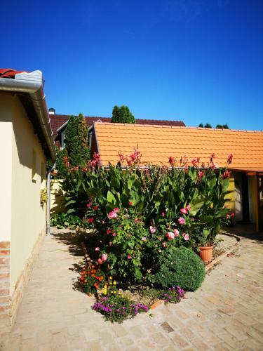 R�day Apartman