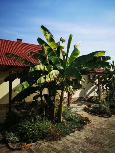 R�day Apartman
