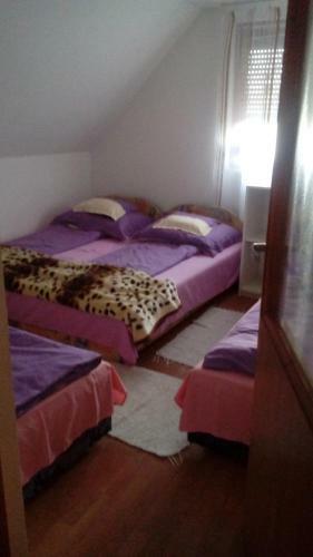 Hostal Zsuzsanna Vend�gh�z