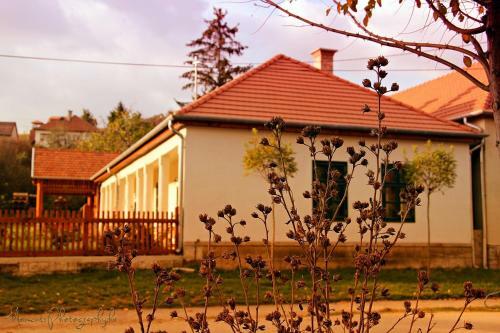 Hostal Barta Pince Vend�gh�z M�d