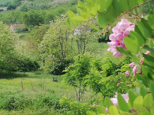 Apartamento G�stesuite Nahe Plattensee