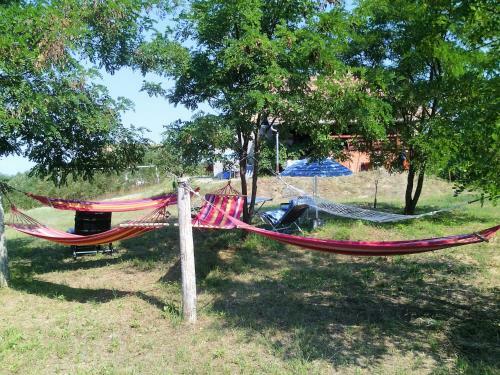 Apartamento G�stesuite Nahe Plattensee