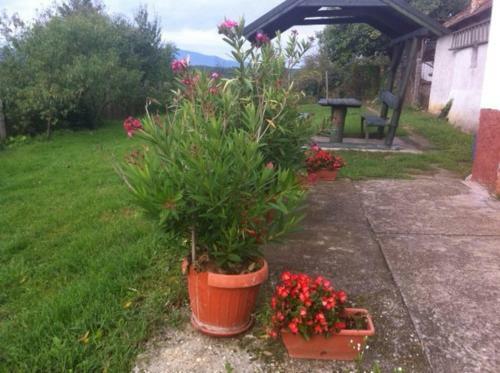 Apartamento Marika Vend�gh�z