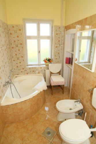 Apartamento Orgona Vend�gh�z