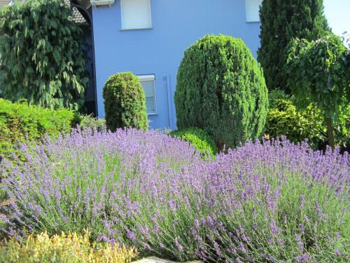 Bed & Breakfast Seva Csal�di Panzi�