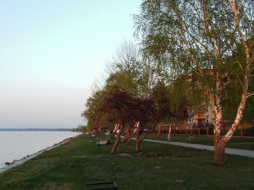 Koppi H�z