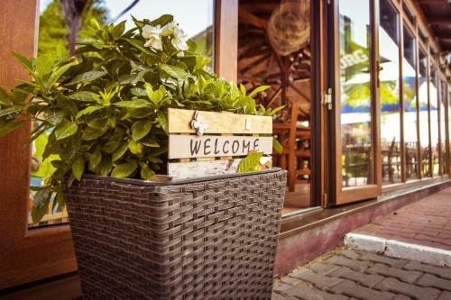 Hostal Pension Ovidiu