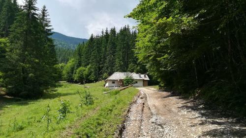 Cabana Pietricica