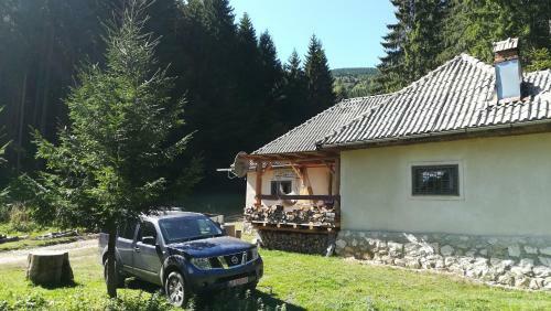 Cabana Pietricica