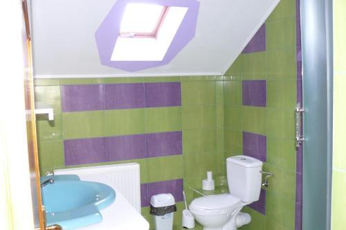 Hostal Pensiunea Cemira Lux