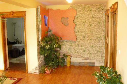 Hostal Pensiunea Cemira Lux