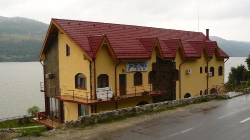 Hostal Cabana Delfinul