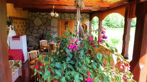 Hostal Pensiunea Poiana De Vis