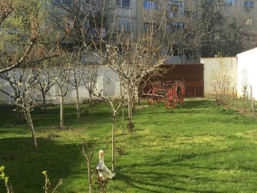 Hostal Villa Flormang
