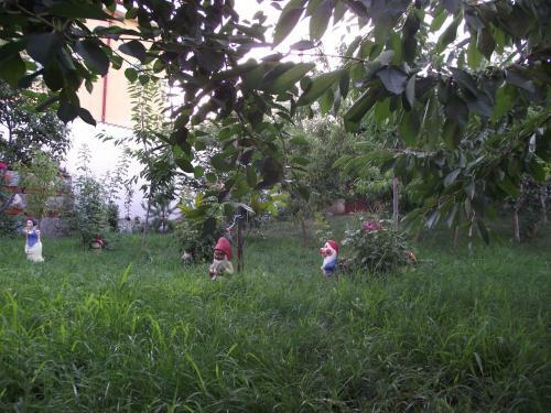 Hostal Villa Flormang