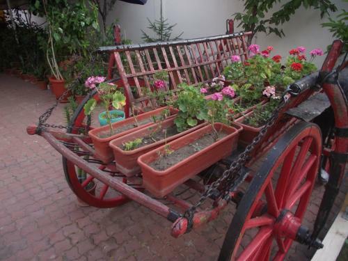 Hostal Villa Flormang