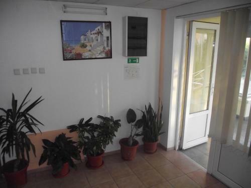 Hostal Villa Flormang