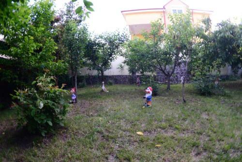 Hostal Villa Flormang