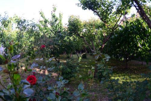 Hostal Villa Flormang