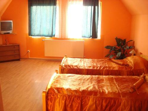 Hostal Pensiunea Dragonul