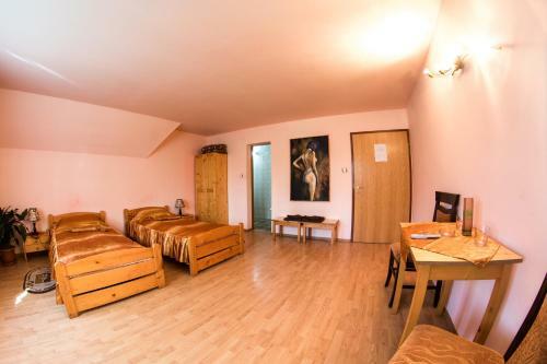 Hostal Pensiunea Dragonul