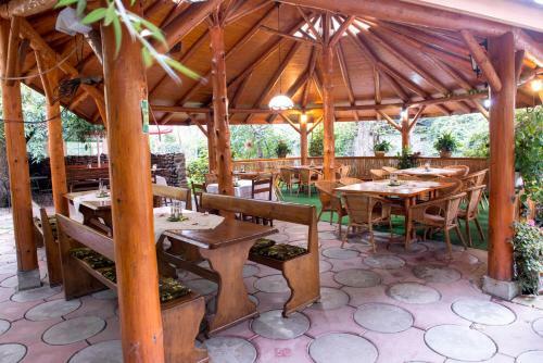 Hostal Pensiunea Dragonul