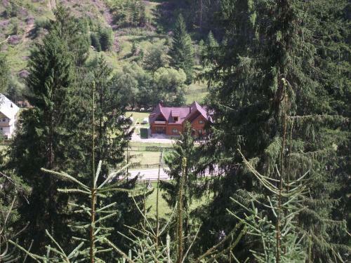 Lodge Cabana Piatra Runcului
