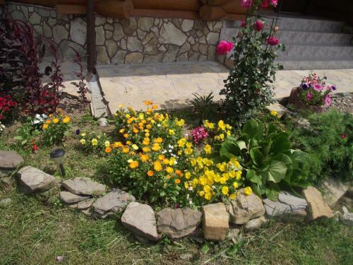 Lodge Cabana Piatra Runcului