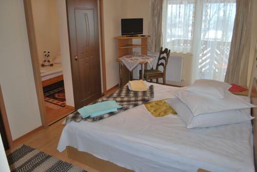 Hostal Pensiunea Alexandra