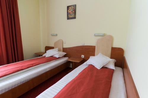 Hostal Pension Vanatorul