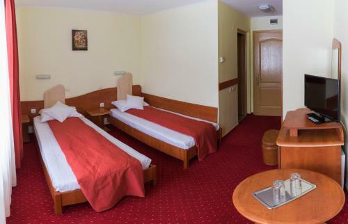 Hostal Pension Vanatorul